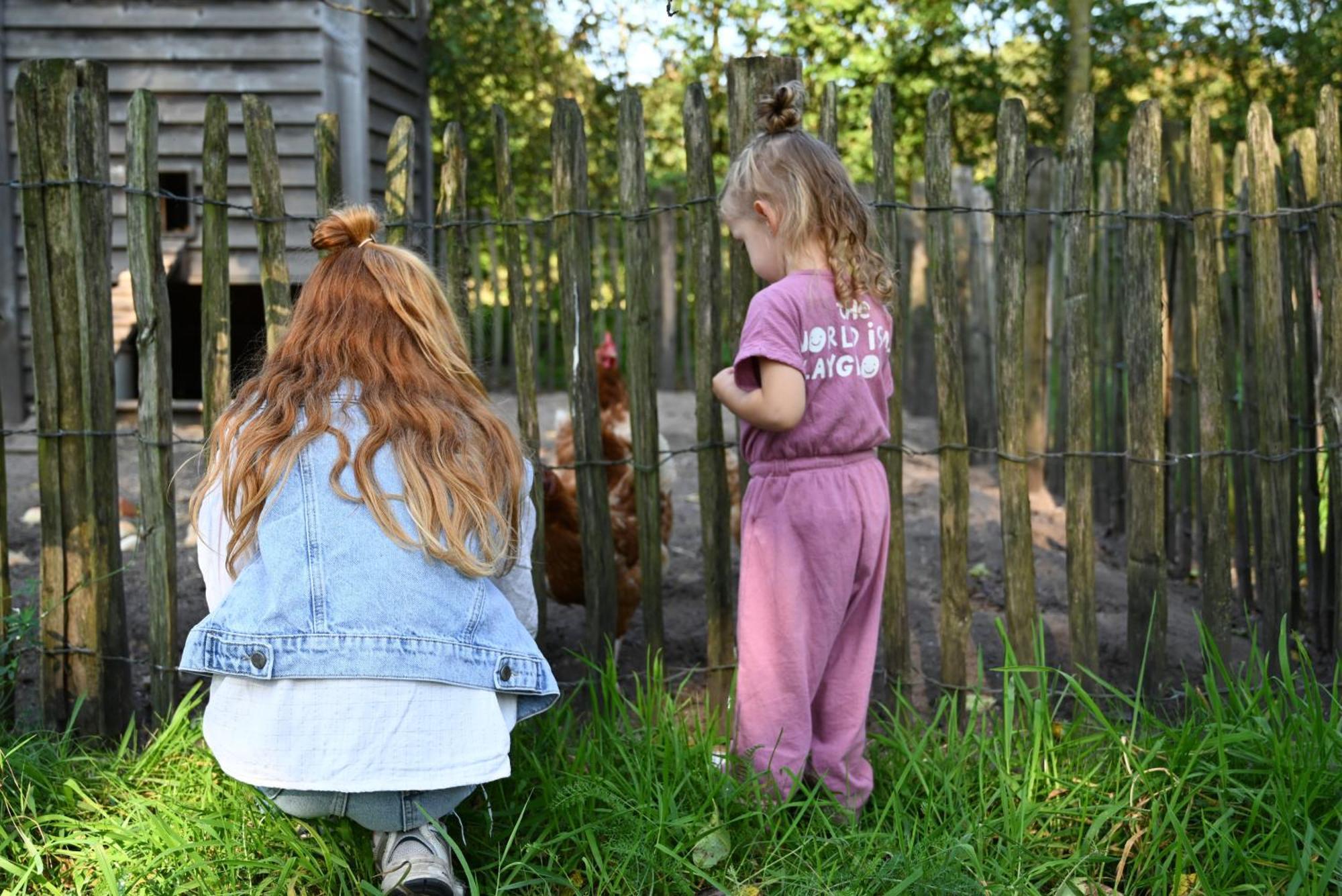 Boksheidebuiten Eersel Exterior foto